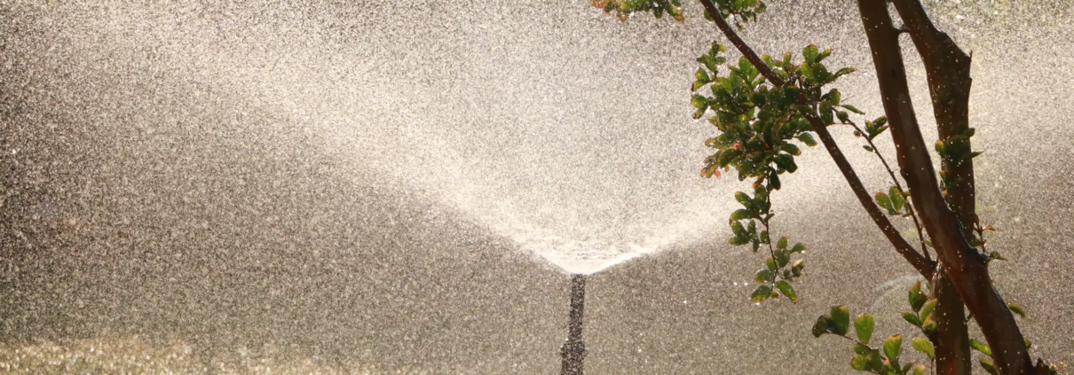 Regenwatersystemen: Slim en duurzaam regenwater opvangen
