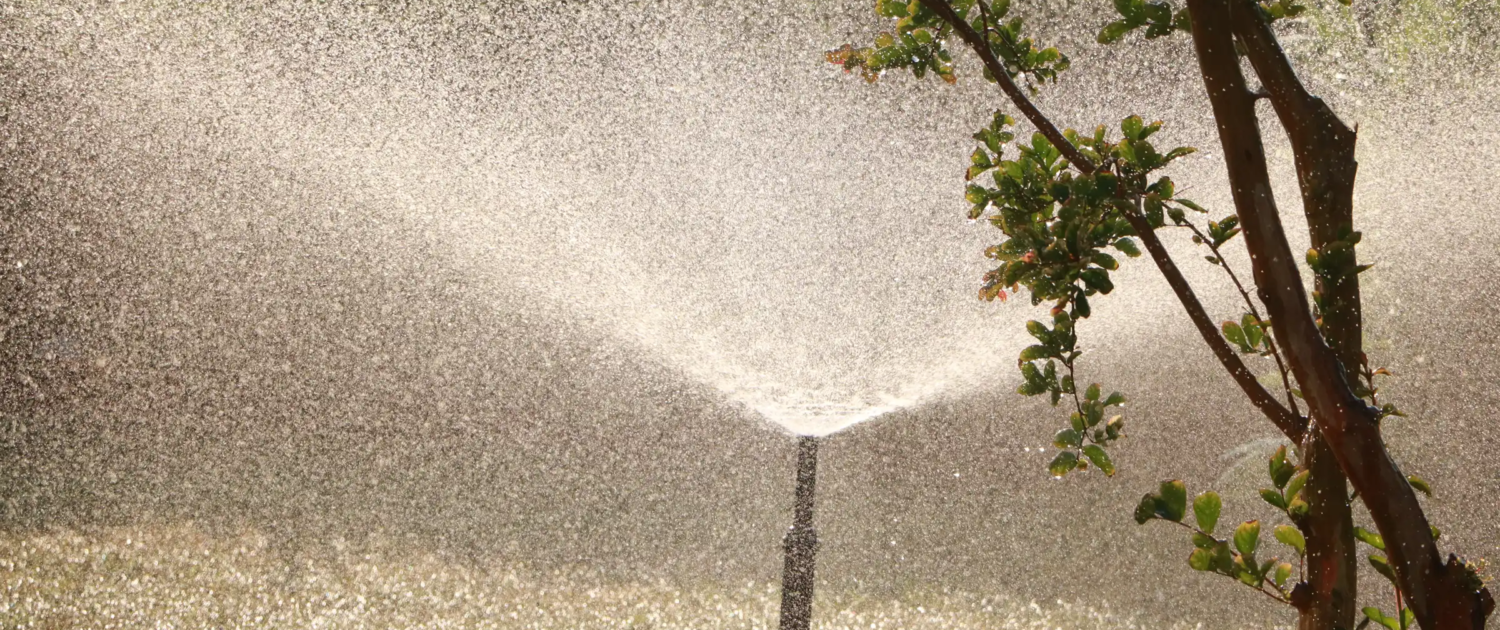 Regenwatersystemen: Slim en duurzaam regenwater opvangen